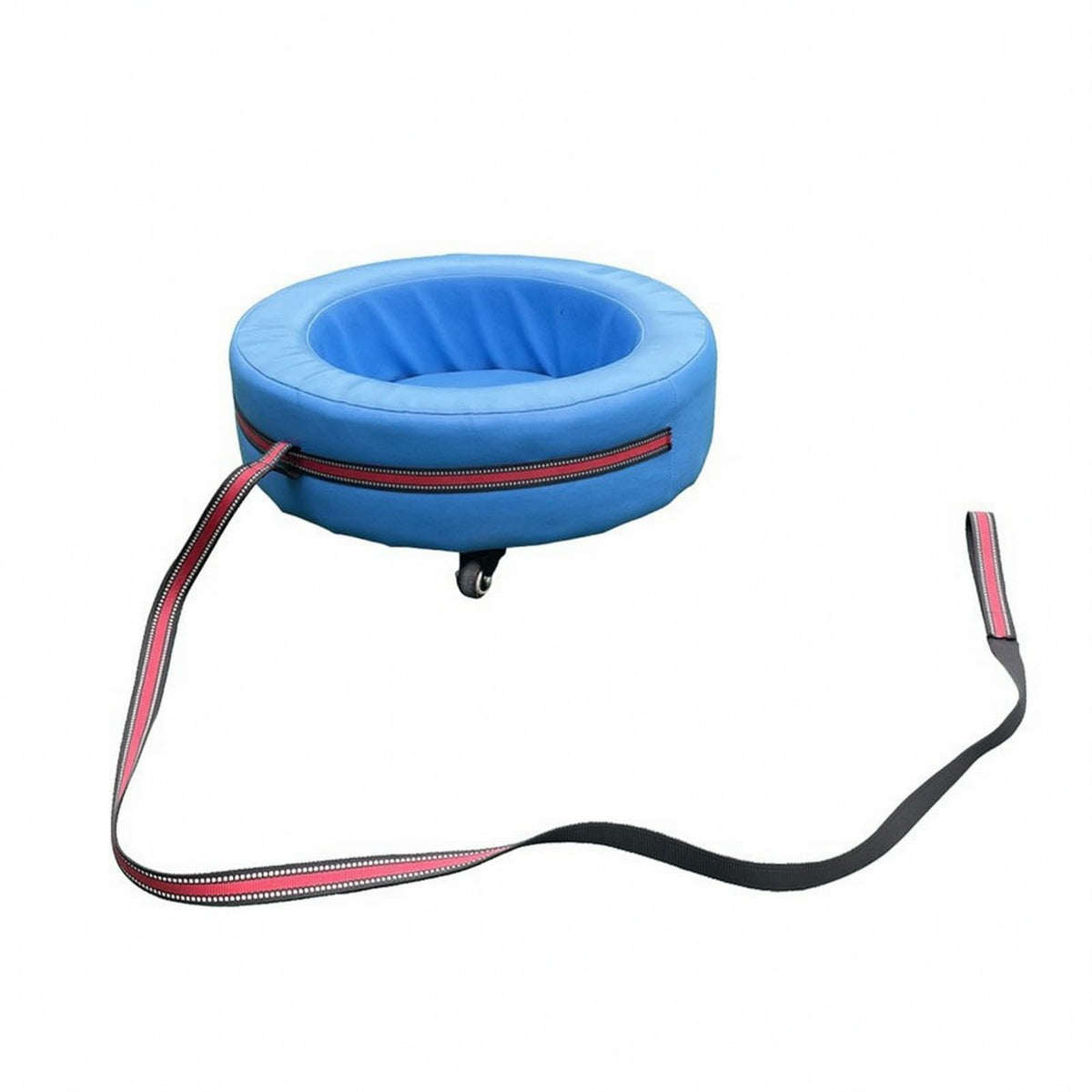 predolo Children's Pull-Along Riding Toy Smooth-Rolling Gentle Push-Along Pull Toy for Kids Ages 3 to 6, Sensory Training, Blue